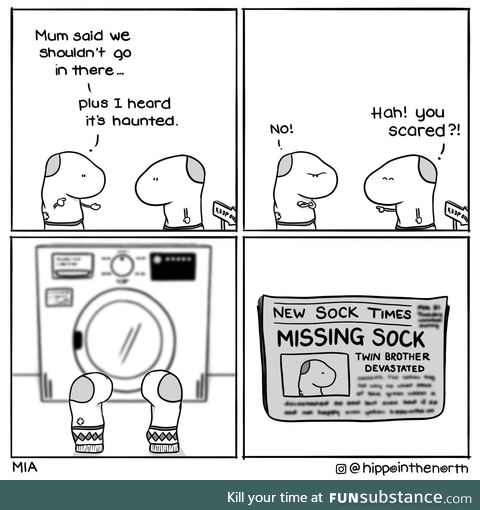 Missing sock