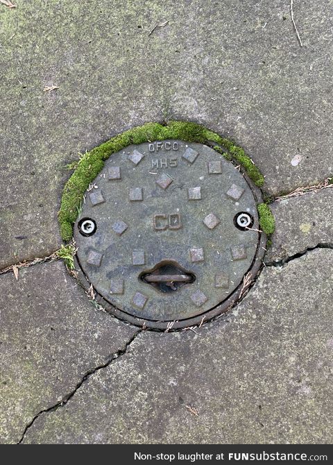 This manhole cover [OC]