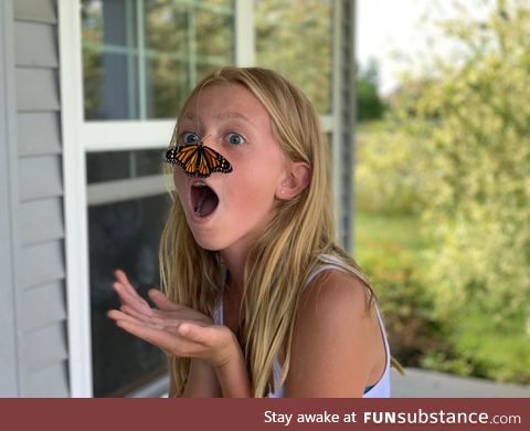 A monarch we raised and were releasing decided to land on my daughter’s nose