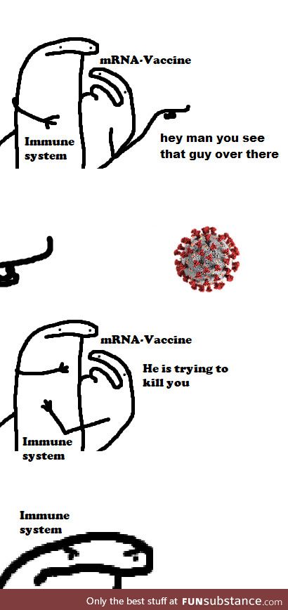 How the mRNA vaccine works, basically