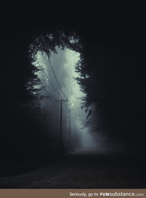 Took a photo of this passage of trees in a foggy day and edited it a bit to make it