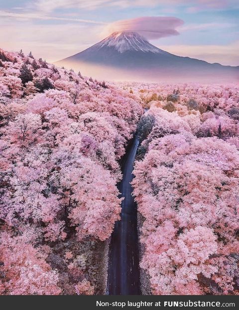 Beautiful photo taken in Japan