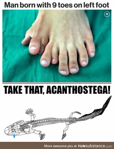 Yeah, take that you eight toed freak!