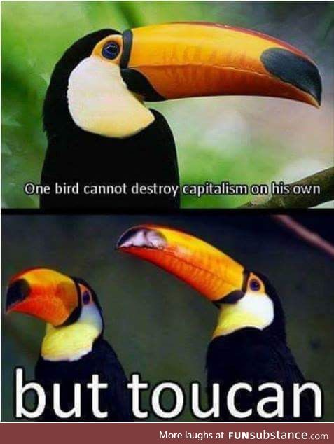 Toucans are going to destroy capitalism