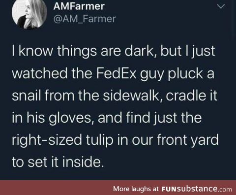 Things are dark, but the FedEx Guy saved a snail