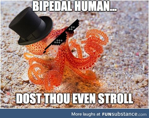 Dost thou even stroll?
