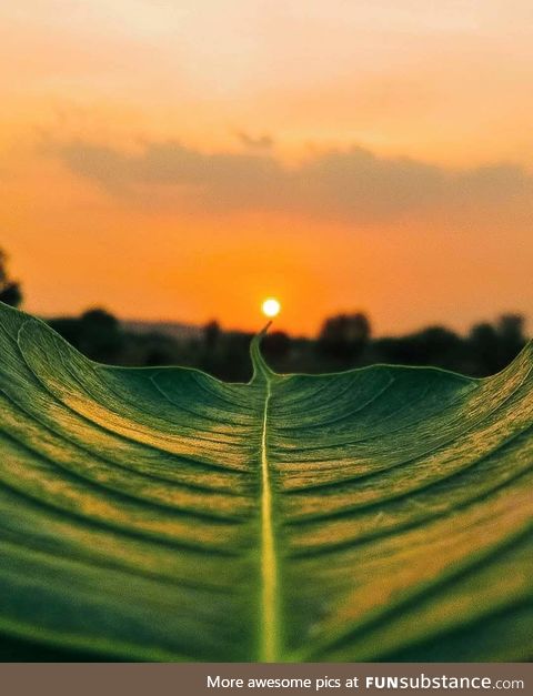Sun sets in Rajastan, India