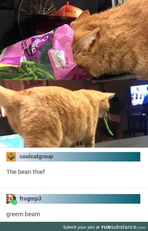 The Bean Thief