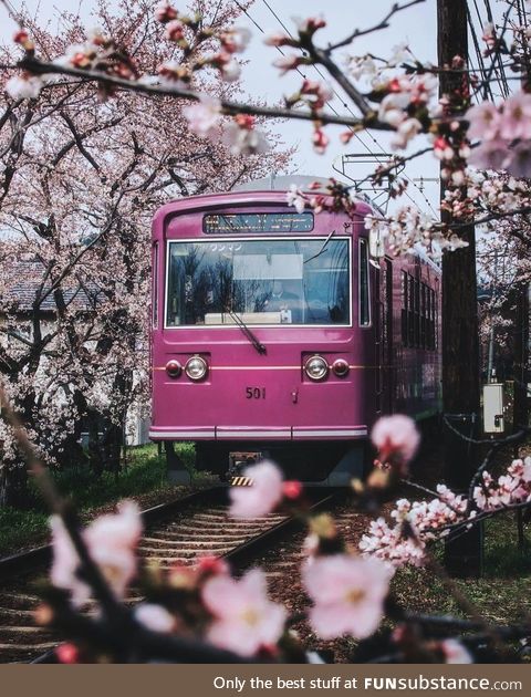 Train ride in Kyoto, Japan