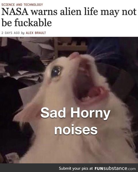 Very sad noises