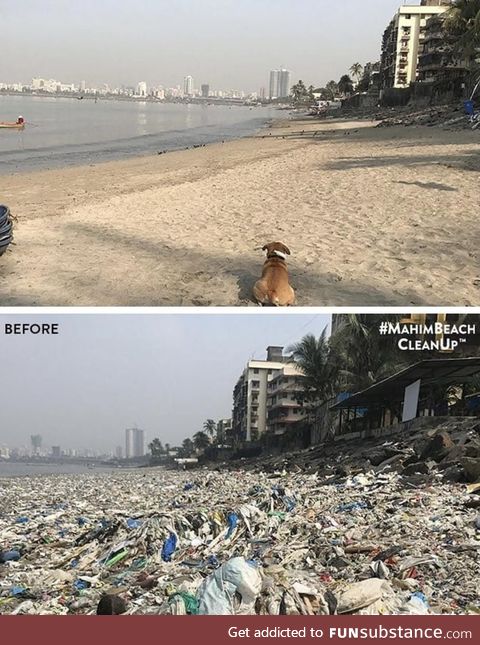 In 46 weeks, over 650 tonnes of plastic and debris were cleared from Mahim Beach in