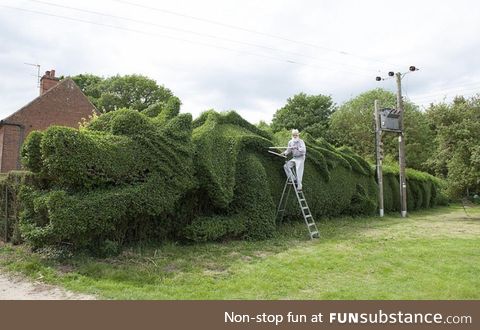 John Brooker of Norfolk, UK, spent 13 years turning his 150-Ft-long hedge into a giant