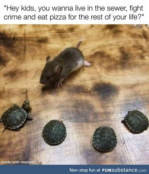 Turtle power
