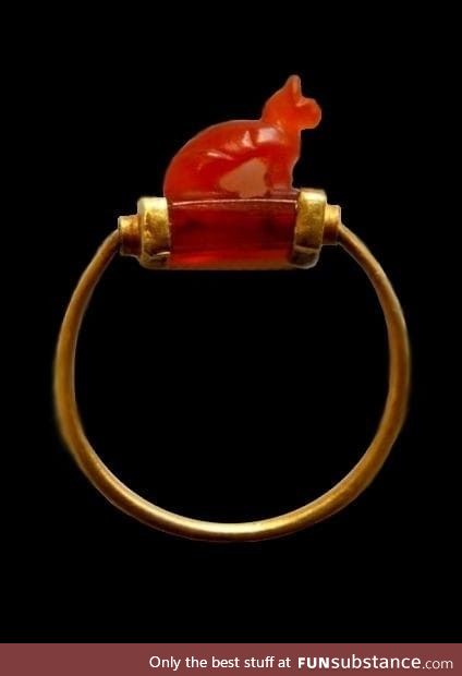Circa 2700 year old Egyptian cat ring