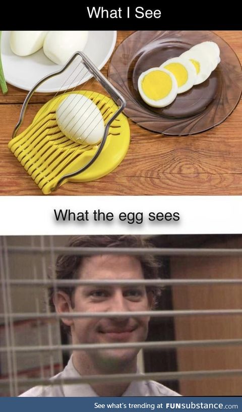 Just cutting a tasty egg