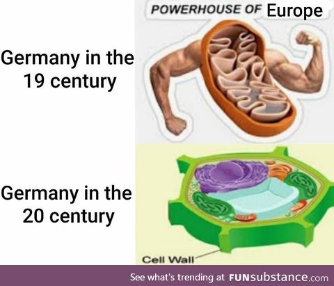 Biology and History meme