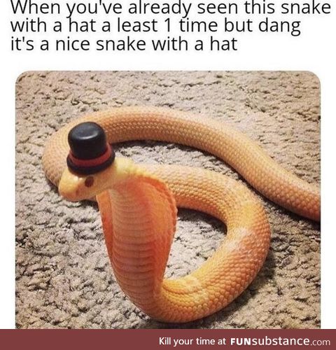 Snake wit da hat? :O