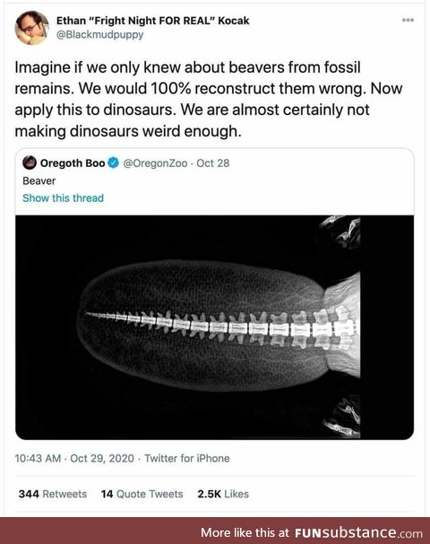 We're not making dinosaurs weird enough