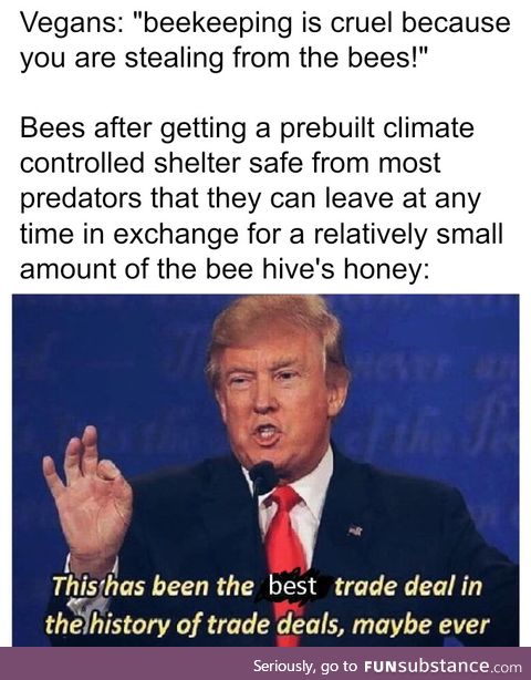 Vegans vs Beekeepers