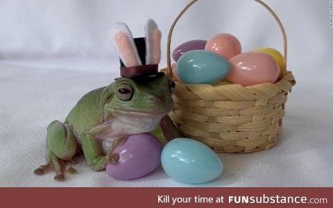 Froggo Fun #437/Special - Happy Easter!