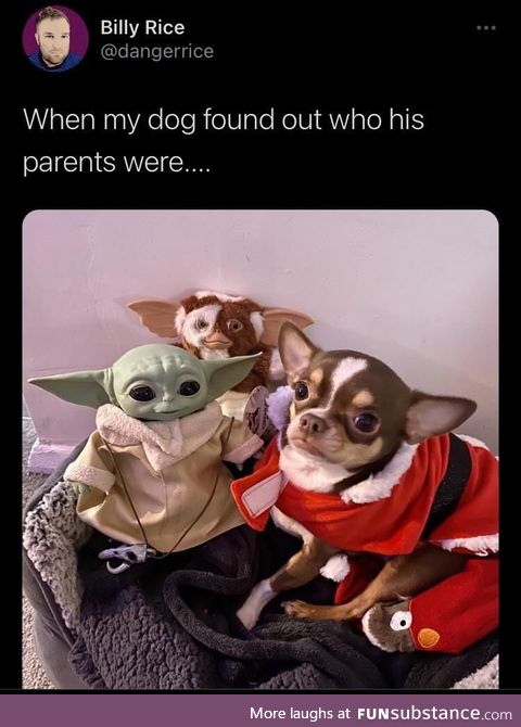 Yoda daddy, Gizmo!