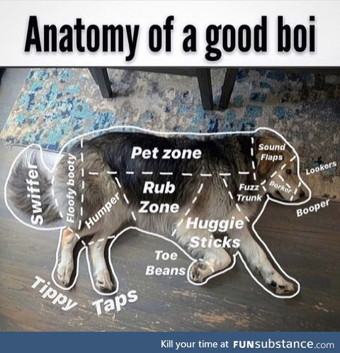 The only anatomy class I’d pass
