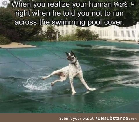 Don't run across the swimming pool cover