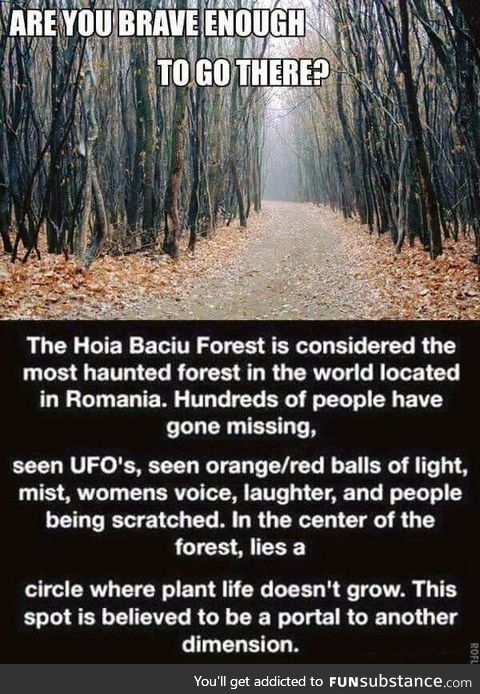 Hoia Baciu Forest