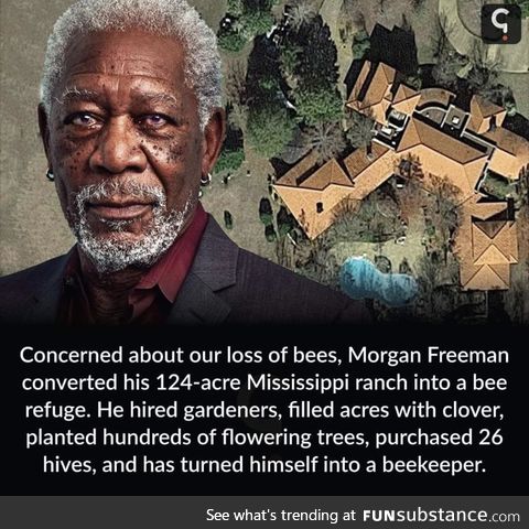 Morgan Freeman is a bee bro