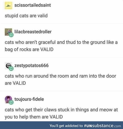 All Cats are Valid