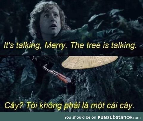 The hobbits stood no chance in the forest of Fangorn