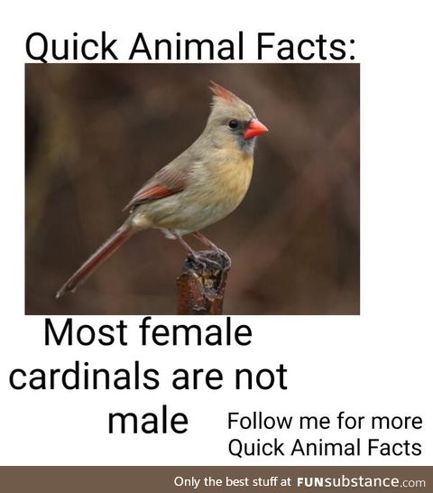 Quick animal fact #8