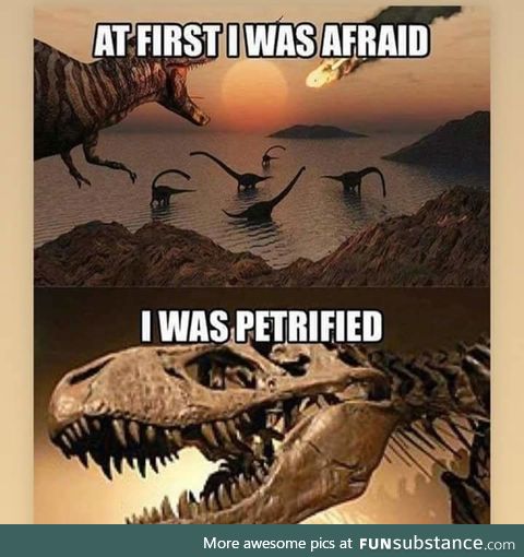 Everybody walk the dinosaur