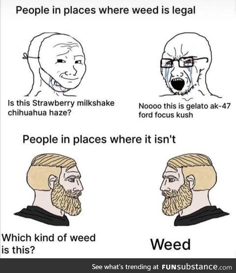 Dude, it’s weed bro