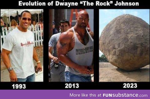 The evolution of dwayne johnson