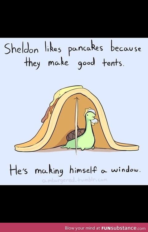 This is why sheldon is a winner