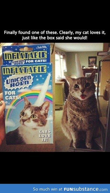 Unicorn horn for cats