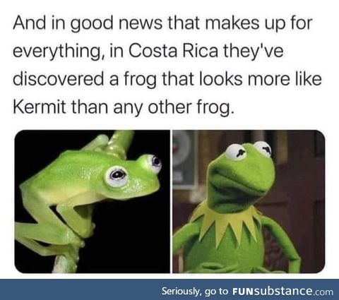 The real Kermit