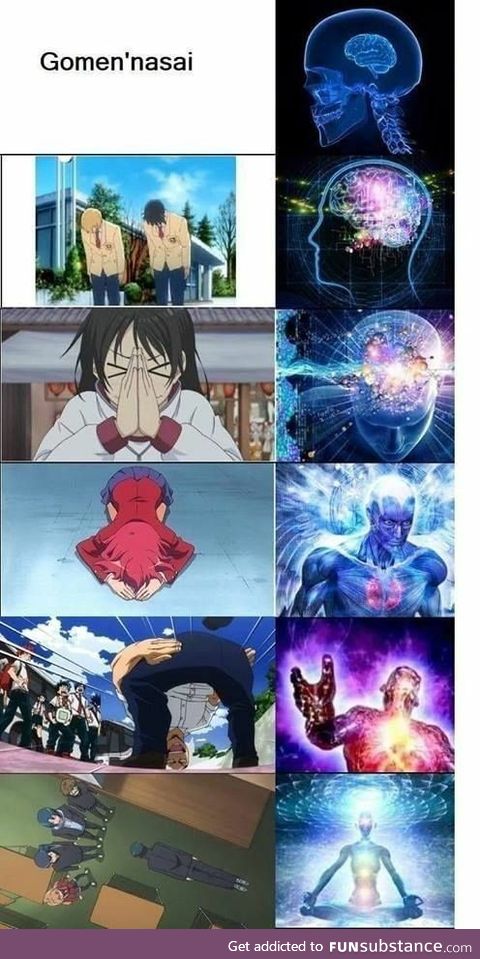 Anime apologies