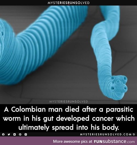 Parasitic worm got cancer