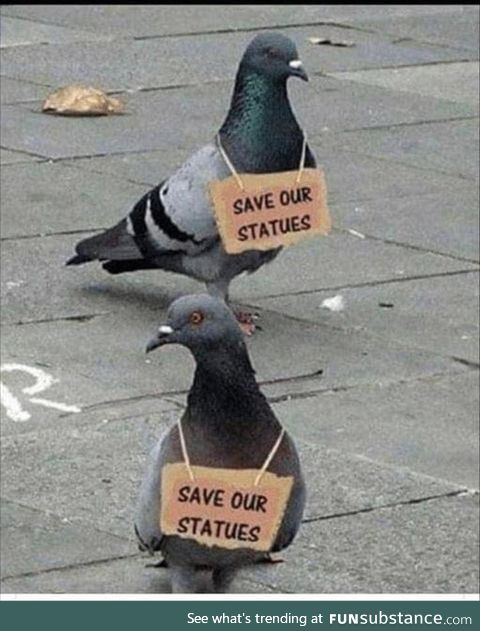 Save our statues
