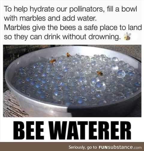 Hydrate them damn bees