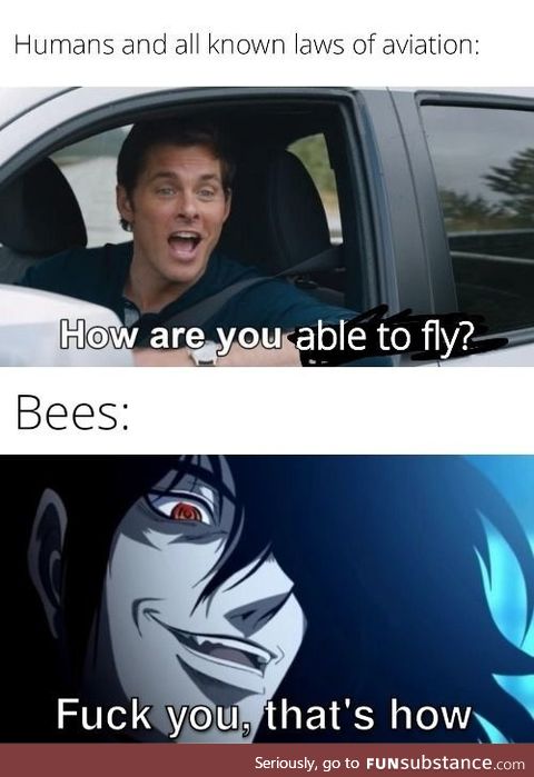 According to all known laws of aviation