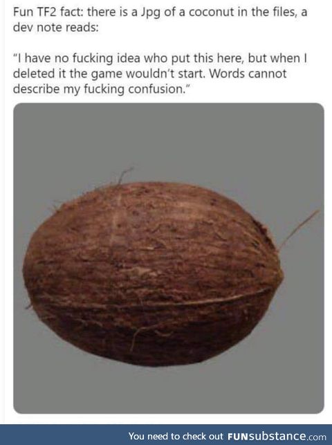 Praise the coconut