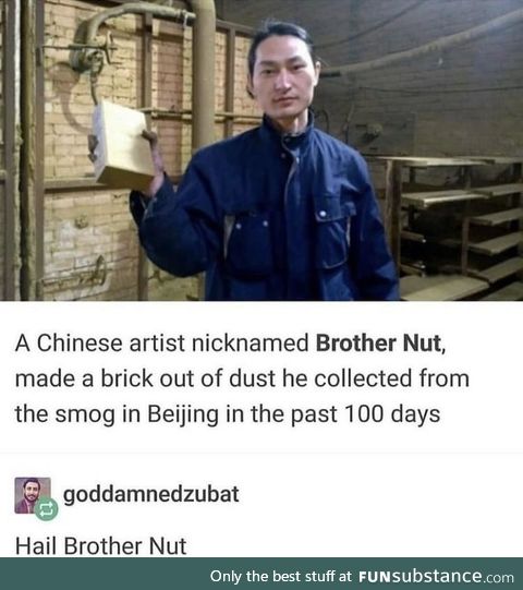 Brother nut the brick person