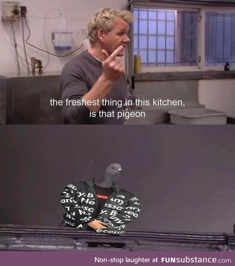 The pigeon is dripping