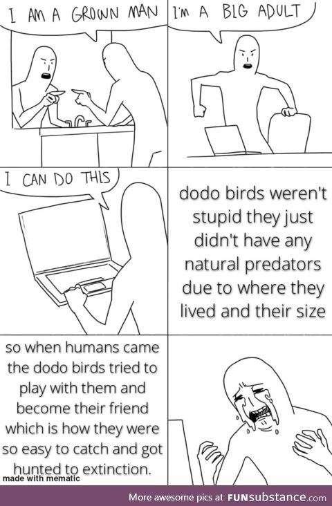 I've heard this sub is a fan of the great emu wars, but have you heard of the dodo