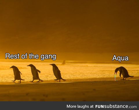 Konosuba but penguins
