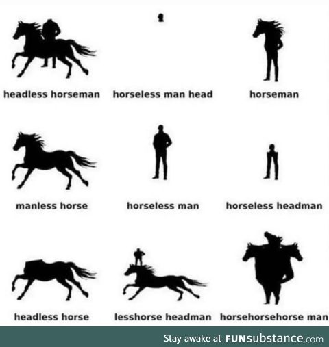 The many horses, man
