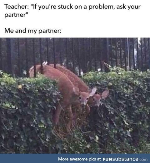 Yeah, my partner